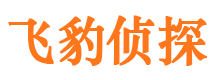 绩溪市调查公司